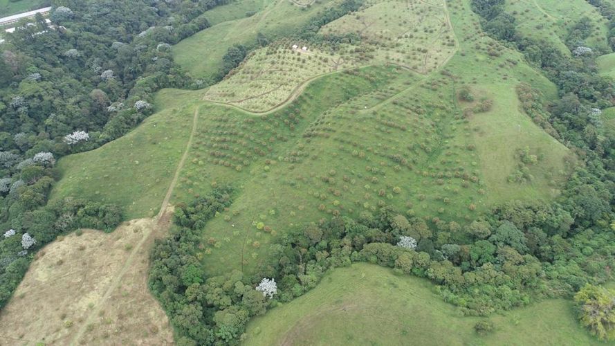 Finca en  Venta en Quindio, Circasia - Miniatura 11