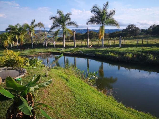 Finca en  Venta en Lago calima, Calima - Miniatura 6