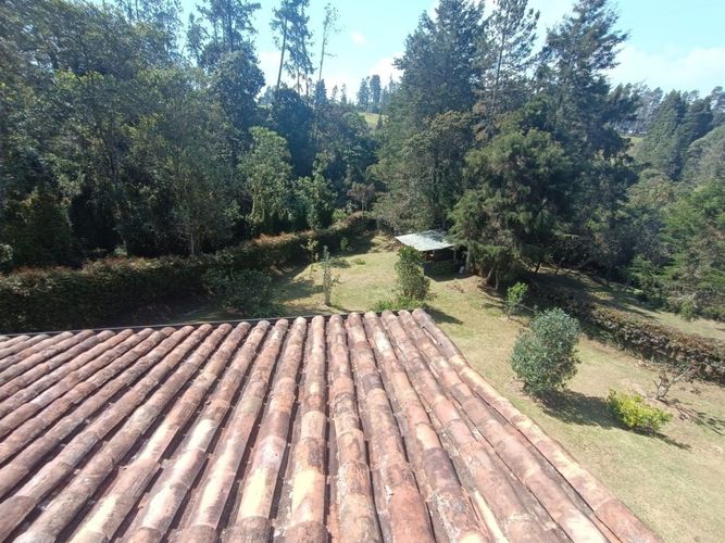 Finca en arriendo en El salado, Guarne - Miniatura 27