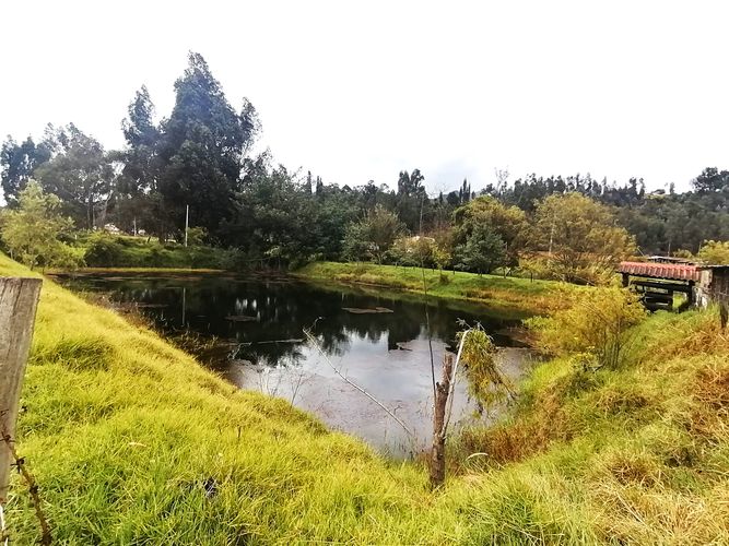 Finca en  Venta en Nemocon - Miniatura 3