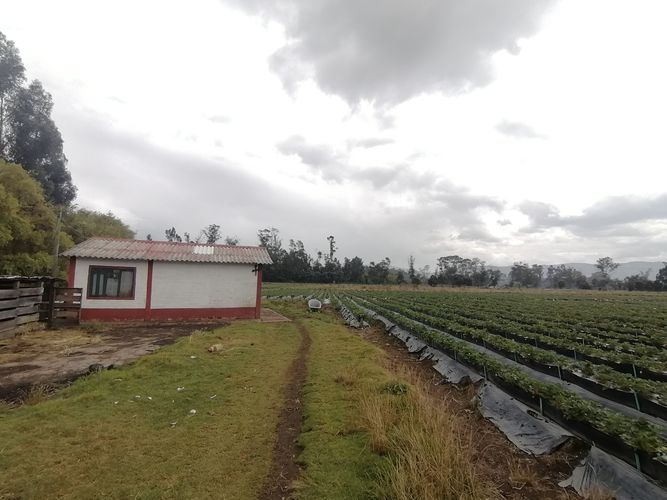 Finca en  Venta en Nemocon - Miniatura 7