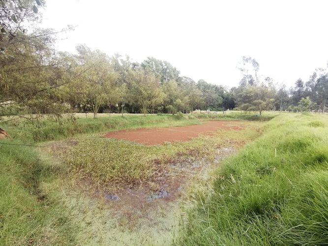 Finca en  Venta en Nemocon - Miniatura 11