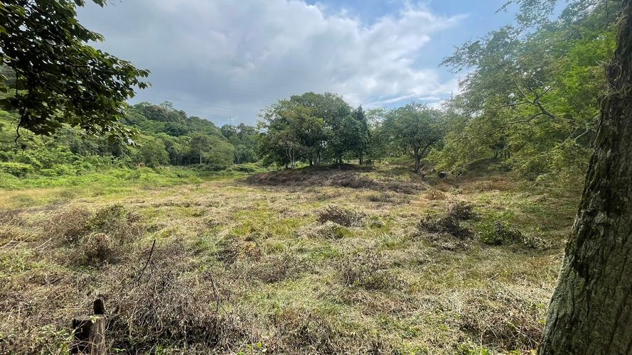 Finca en  Venta en San antonio del carrizal, Bucaramanga - Miniatura 3