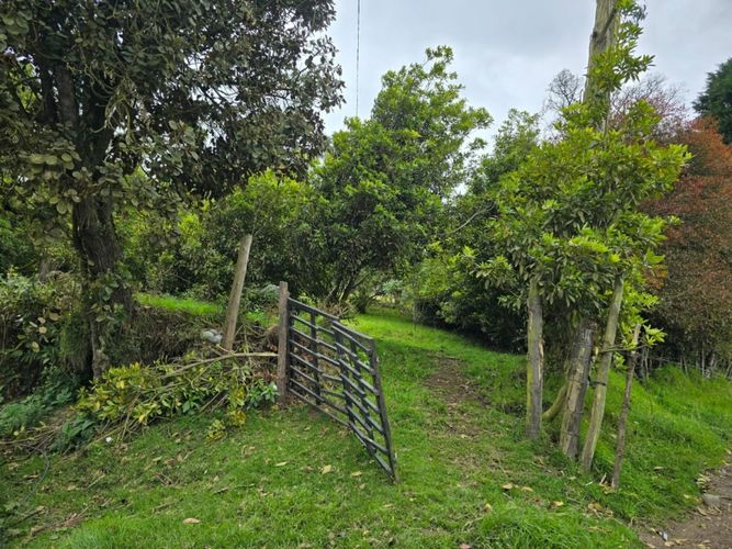 Finca en  Venta en Tierra morada, Facatativa - Miniatura 9