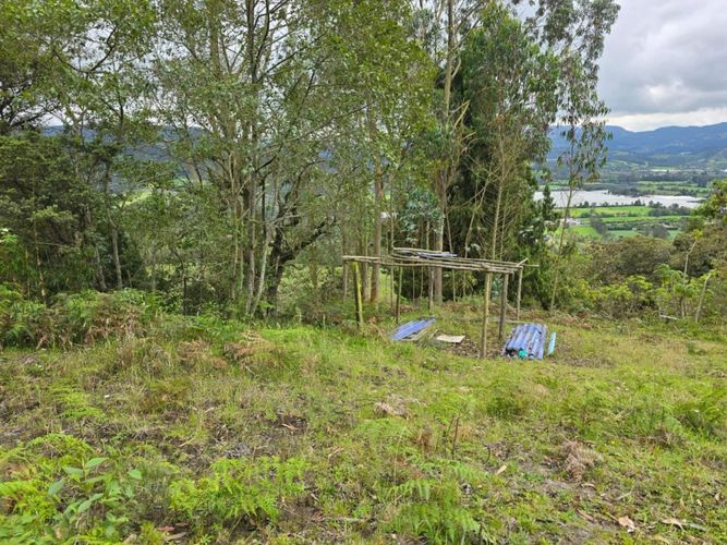 Finca en  Venta en Tierra morada, Facatativa - Miniatura 17