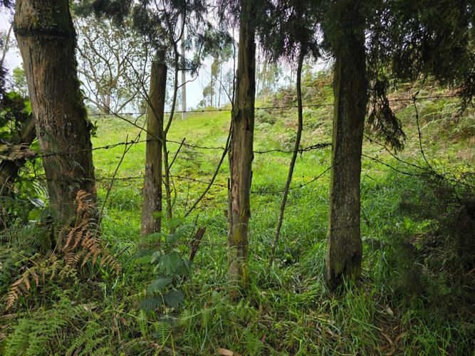 Finca en  Venta en Tierra morada, Facatativa - Miniatura 22