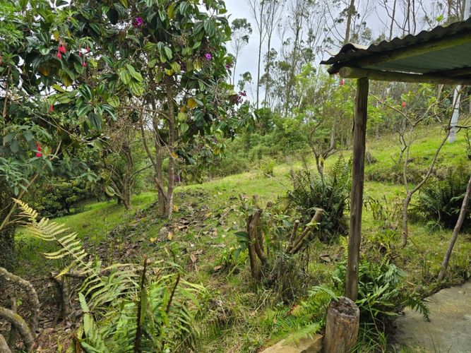 Finca en  Venta en Tierra morada, Facatativa - Miniatura 24