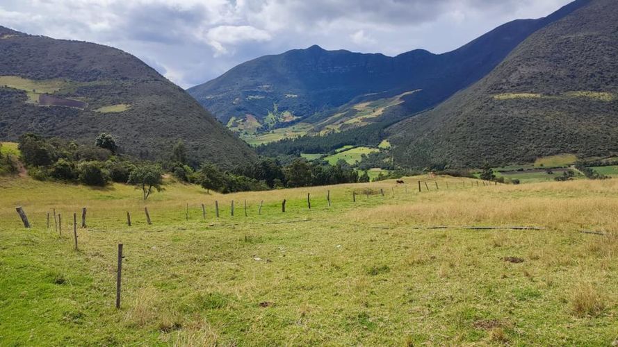 Finca en  Venta en Carrizal, Chiquiza - Miniatura 18