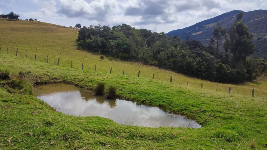 Finca en  Venta en Carrizal, Chiquiza - Miniatura 19