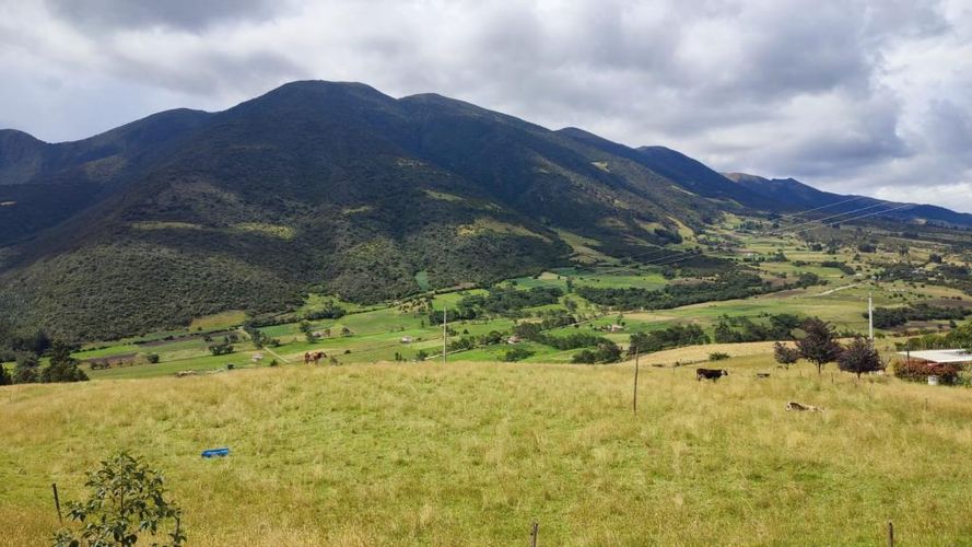 Finca en  Venta en Carrizal, Chiquiza - Miniatura 21