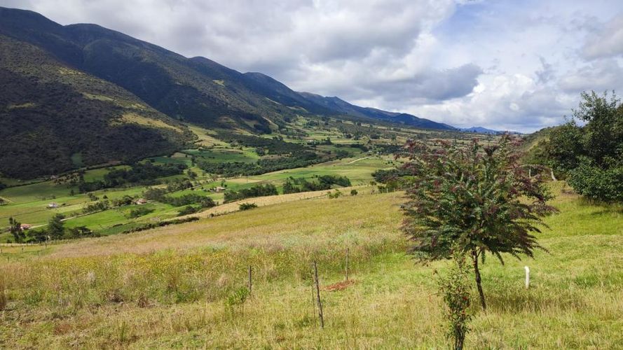Finca en  Venta en Carrizal, Chiquiza - Miniatura 22