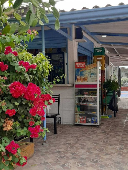 Local en  Venta en Quintas de flandes, Flandes - Miniatura 10