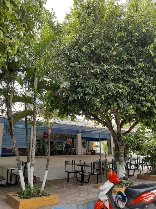 Local en  Venta en Quintas de flandes, Flandes - Miniatura 11