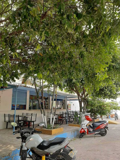 Local en  Venta en Quintas de flandes, Flandes - Imagen 1