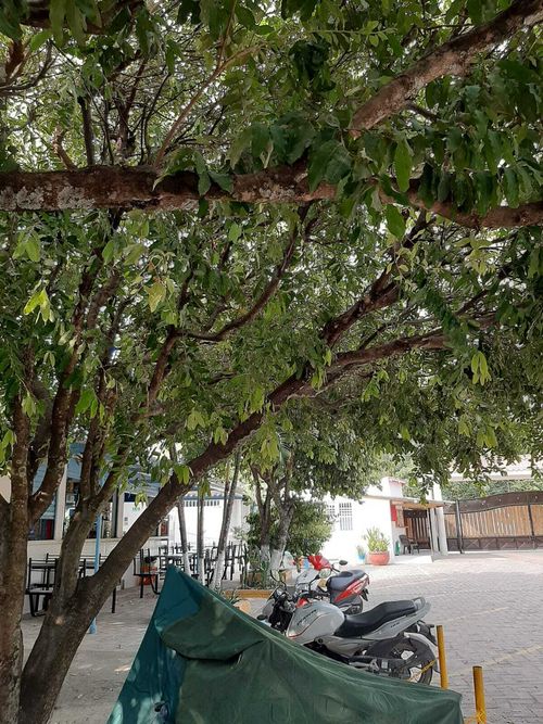 Local en  Venta en Quintas de flandes, Flandes - Miniatura 16