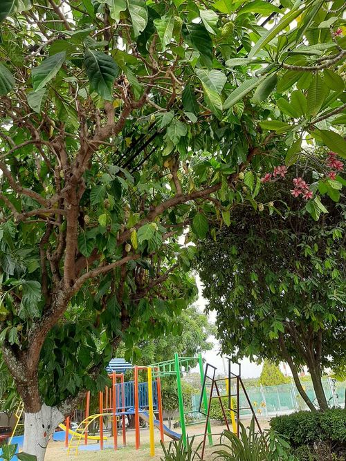Local en  Venta en Quintas de flandes, Flandes - Miniatura 17