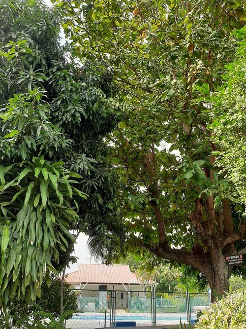 Local en  Venta en Quintas de flandes, Flandes - Miniatura 18