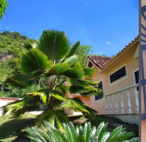 Finca en  Venta en Santa rosa, Anapoima - Miniatura 19