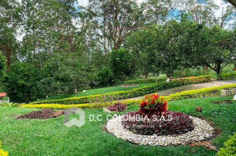 Finca en  Venta en San jose sur, Pereira - Miniatura 8