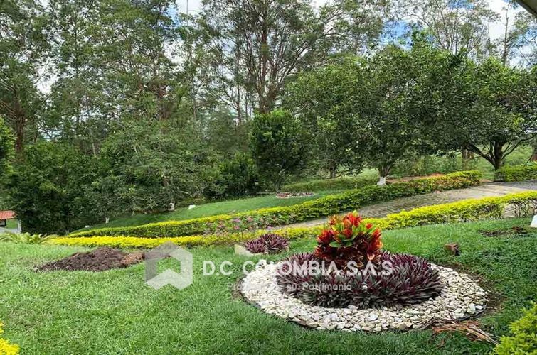 Finca en  Venta en San jose sur, Pereira - Miniatura 13