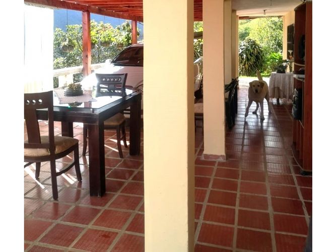 Finca en venta en Versalles, Santa barbara - Miniatura 6