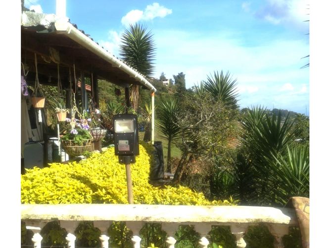 Finca en venta en Versalles, Santa barbara - Miniatura 8