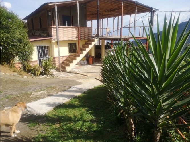 Finca en venta en Versalles, Santa barbara - Miniatura 16