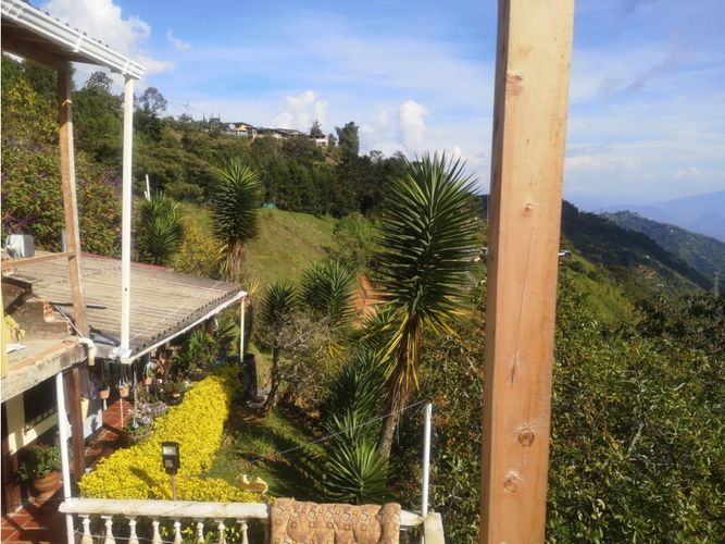 Finca en venta en Versalles, Santa barbara - Miniatura 19