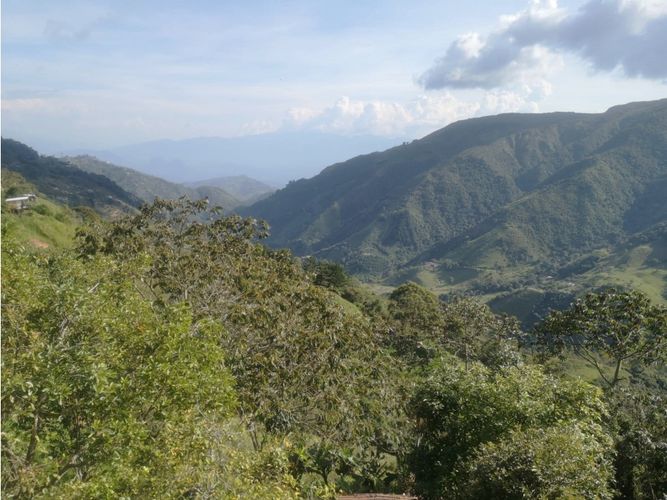 Finca en venta en Versalles, Santa barbara - Miniatura 20