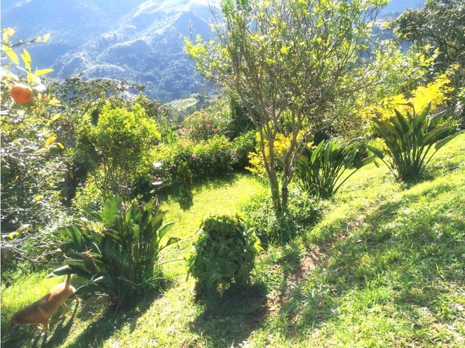 Finca en venta en Versalles, Santa barbara - Miniatura 23