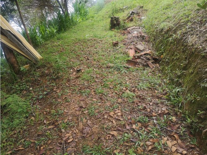Finca en venta en Versalles, Santa barbara - Miniatura 27
