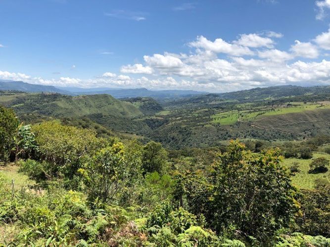 Finca en  Venta en Santa sofia - Miniatura 6