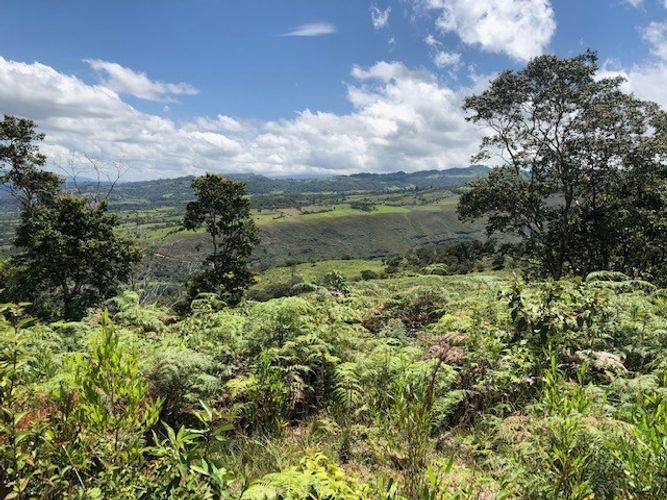 Finca en  Venta en Santa sofia - Miniatura 8