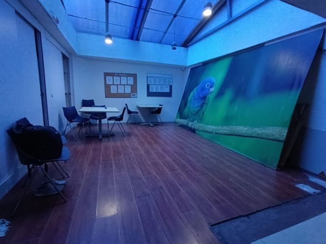 Edificio en  Arriendo en Chicó Navarra, Bogotá - Miniatura 27