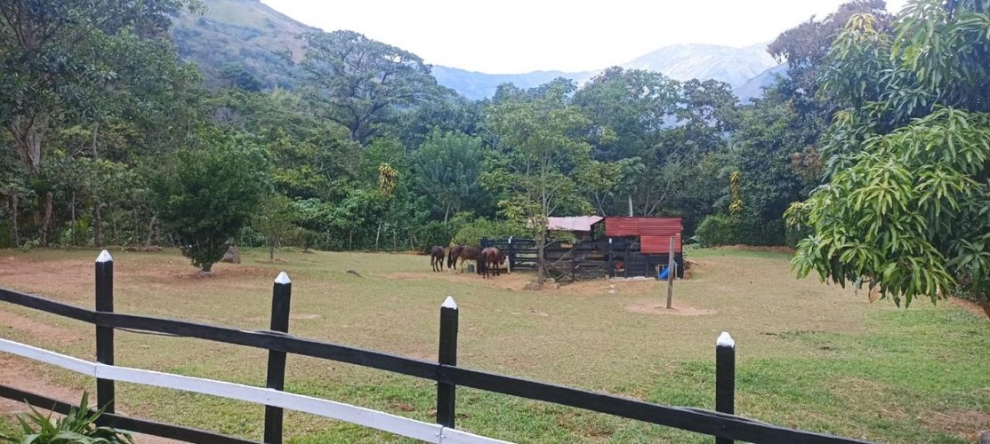 Finca en  Venta en Sitio viejo, Titiribí - Imagen 1
