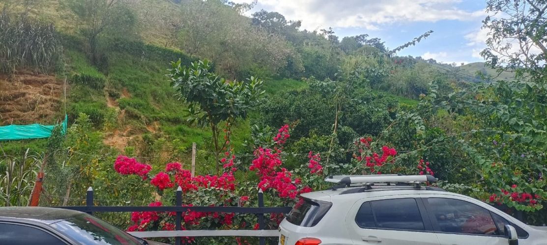 Finca en  Venta en Sitio viejo, Titiribí - Miniatura 9