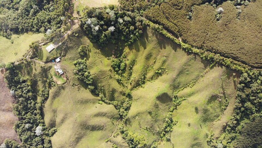 Finca en venta en El porvenir, Santa rosa de cabal - Miniatura 3