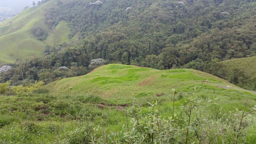 Finca en venta en El porvenir, Santa rosa de cabal - Miniatura 12