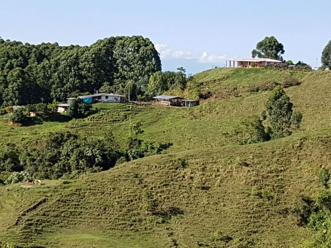 Finca en venta en El porvenir, Santa rosa de cabal - Miniatura 15
