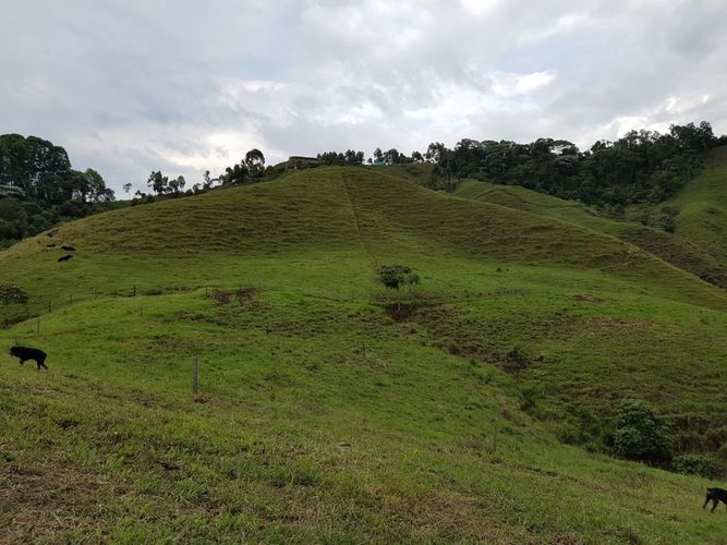 Finca en venta en El porvenir, Santa rosa de cabal - Miniatura 20