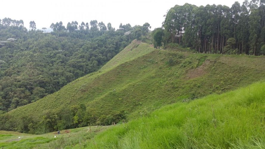 Finca en venta en El porvenir, Santa rosa de cabal - Miniatura 23