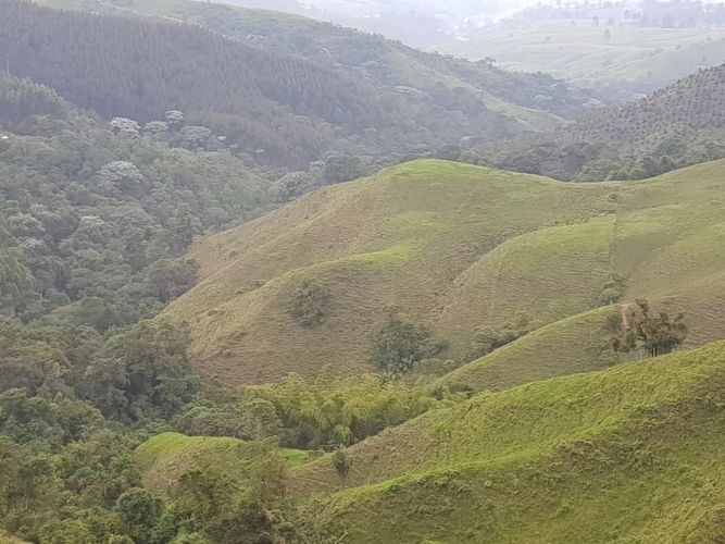Finca en venta en El porvenir, Santa rosa de cabal - Miniatura 24