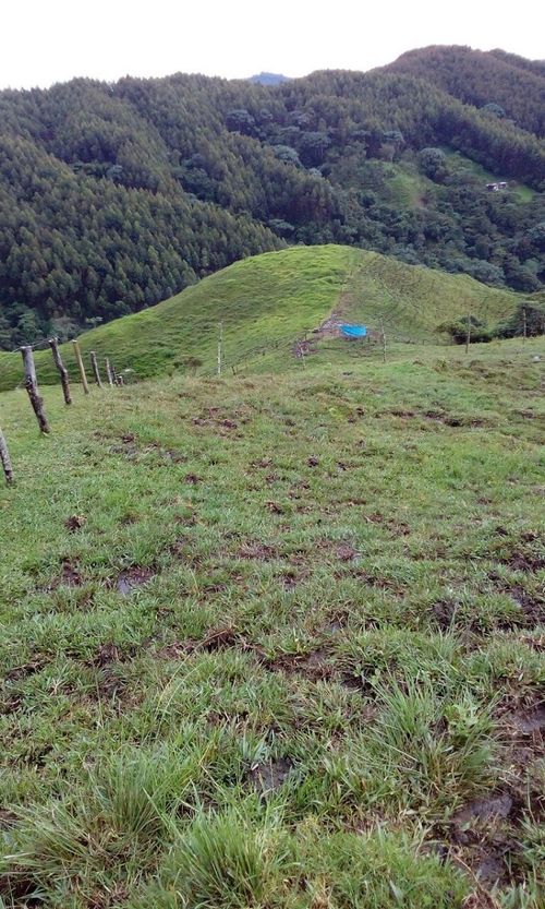 Finca en venta en El porvenir, Santa rosa de cabal - Miniatura 25