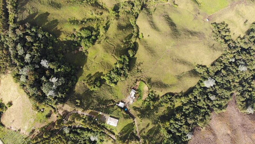 Finca en venta en El porvenir, Santa rosa de cabal - Miniatura 26