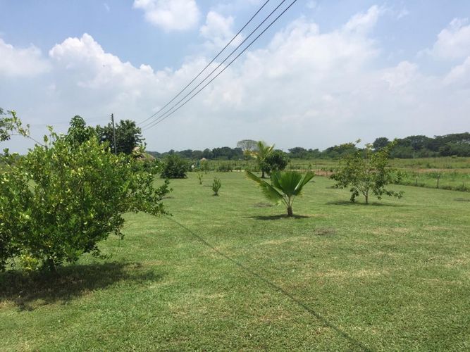 Finca en  Venta en Arjona - Miniatura 17