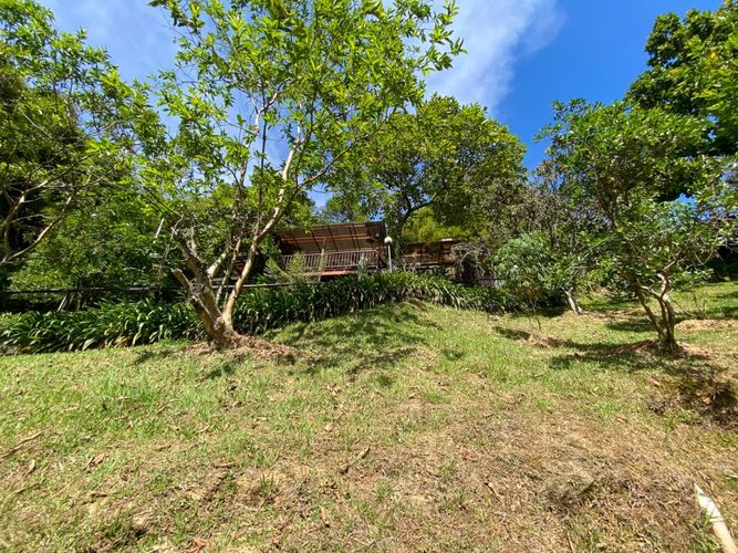 Finca en  Arriendo en Loma del Esmeraldal, Envigado - Miniatura 19