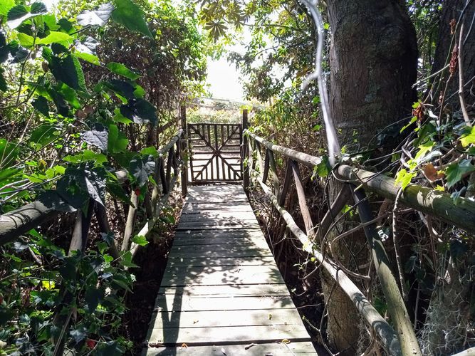 Finca en  Venta en Vereda El Salitre, Tabio - Miniatura 13