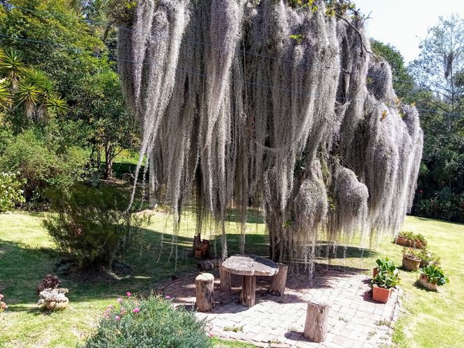 Finca en  Venta en Vereda El Salitre, Tabio - Miniatura 14