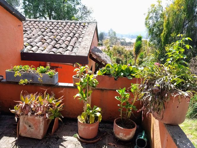 Finca en  Venta en Vereda El Salitre, Tabio - Miniatura 17