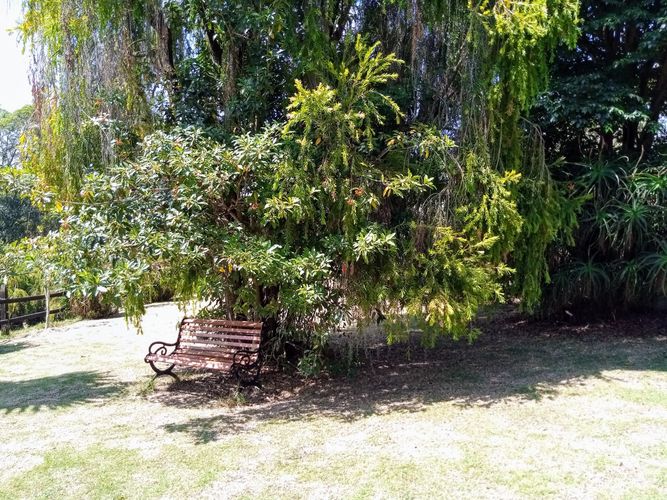 Finca en  Venta en Vereda El Salitre, Tabio - Miniatura 18